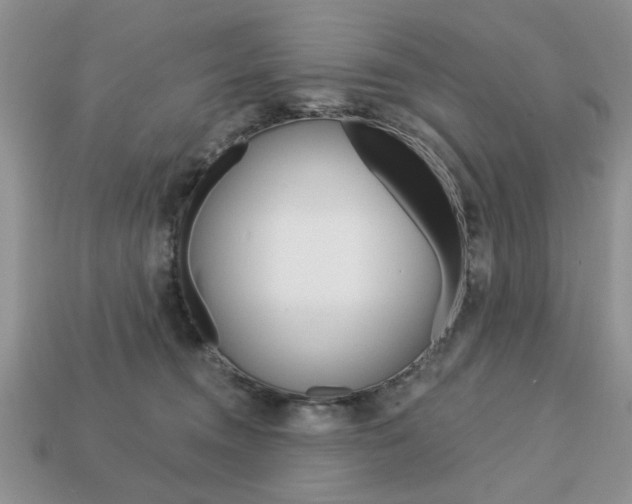 X0000113740372200909230950