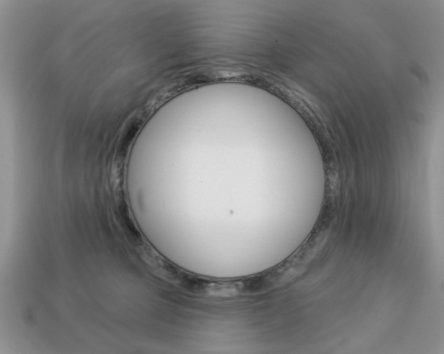 X0000113740373200909230950