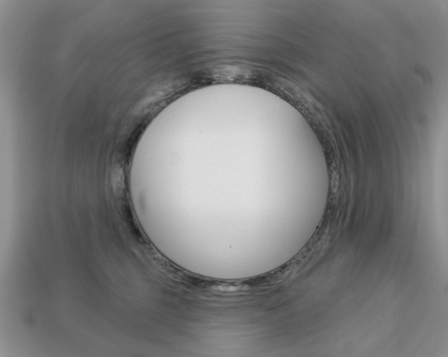 X0000113740375200909230950