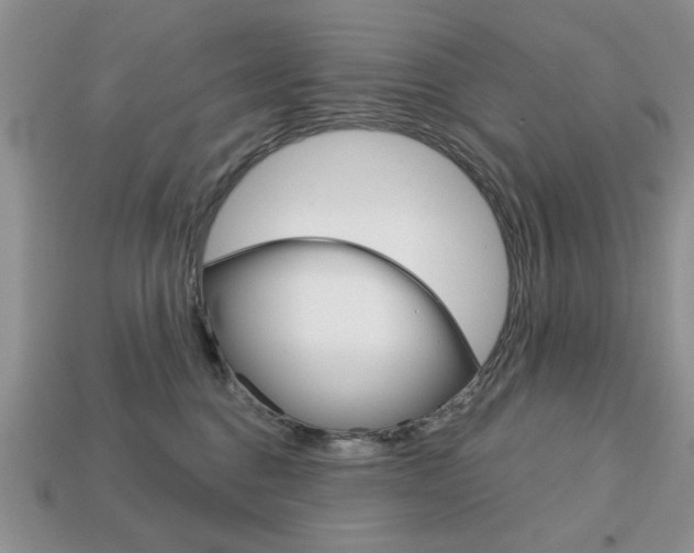 X0000113740376200909230950