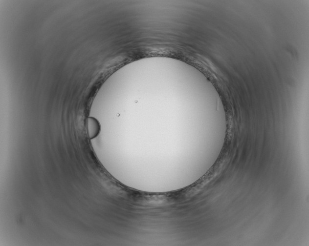 X0000113740377200909230950