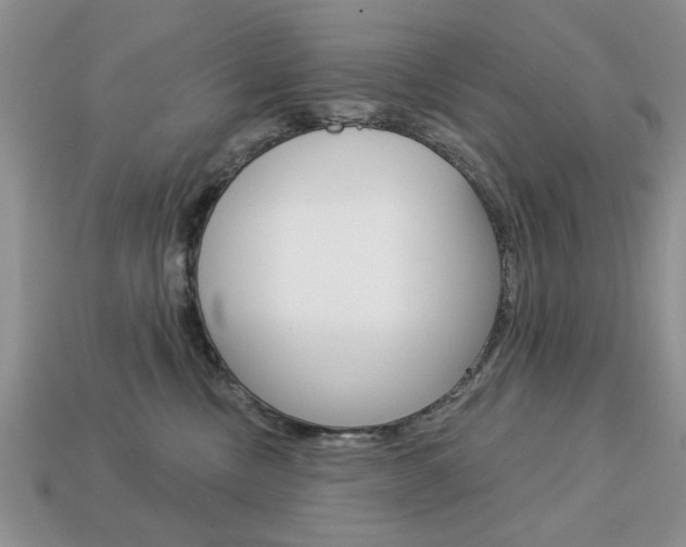 X0000113740378200909230950