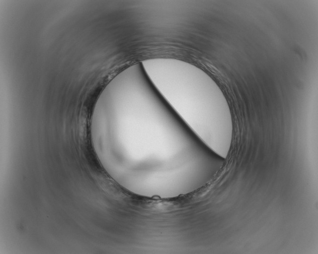X0000113740379200909230950
