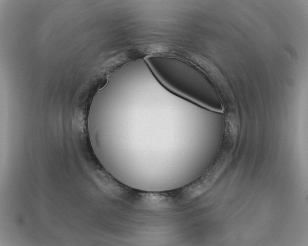 X0000113740380200909230951