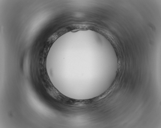 X0000113740381200909230951
