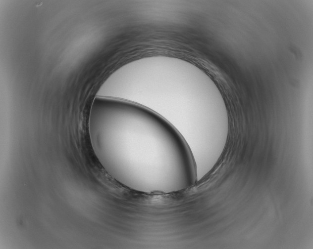 X0000113740382200909230951