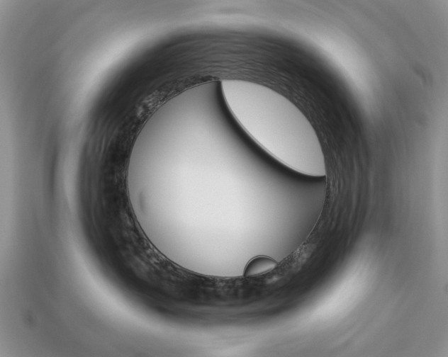 X0000113740383200909230951