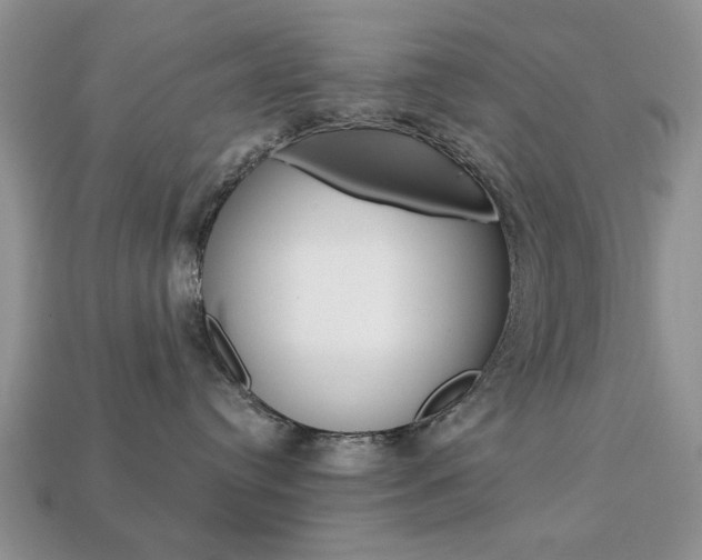 X0000113740384200909230951