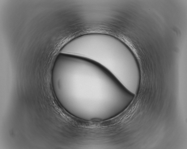 X0000113740385200909230950