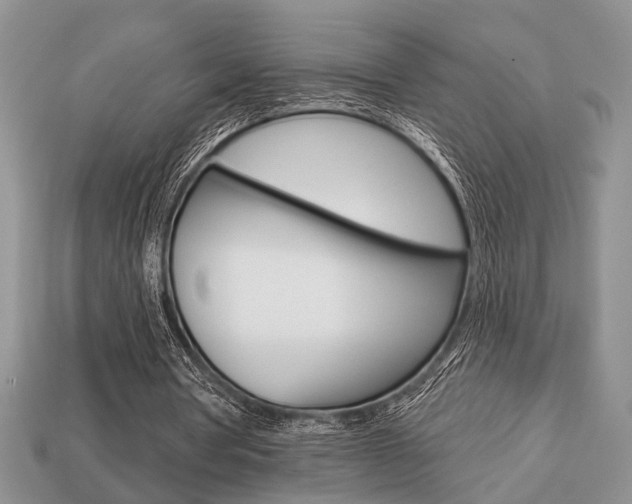 X0000113740386200909230950