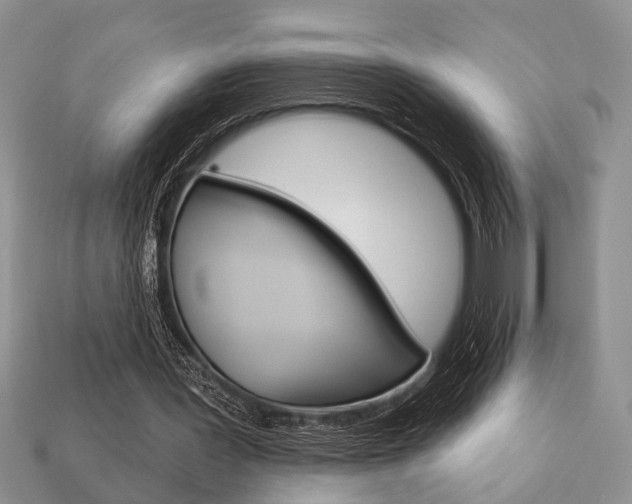 X0000113740387200909230950