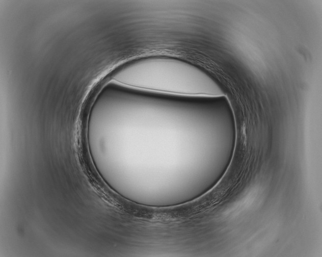 X0000113740388200909230950