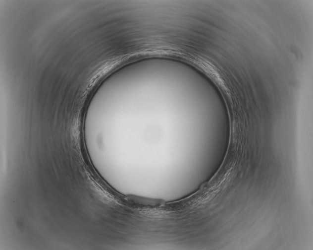 X0000113740389200909230950