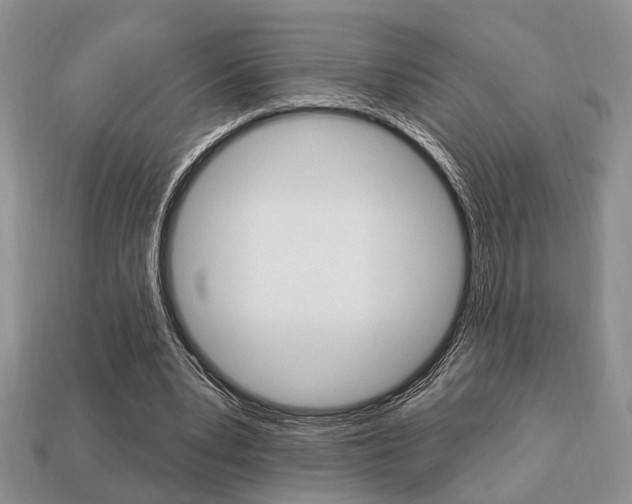 X0000113740391200909230950