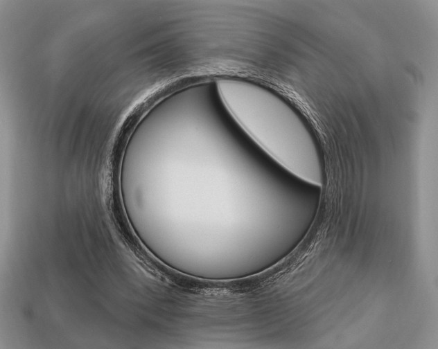 X0000113740392200909230950