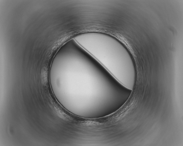 X0000113740393200909230950