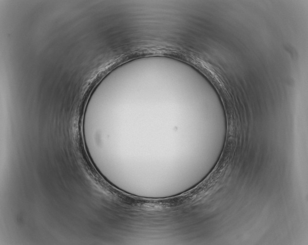 X0000113740394200909230950