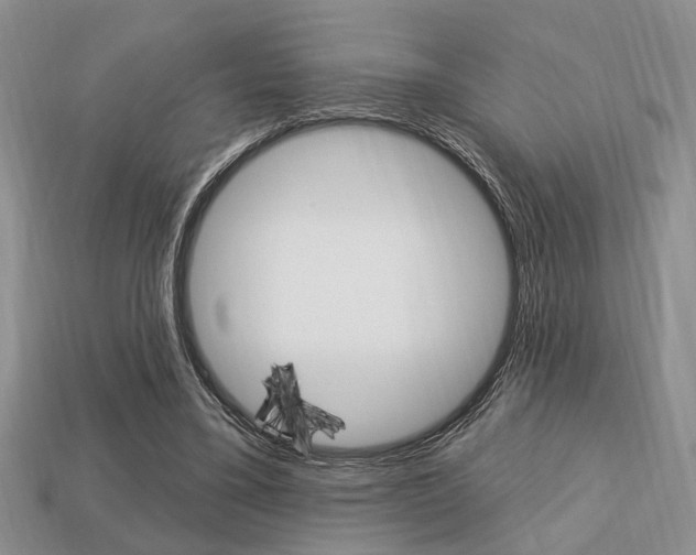 X0000113740395200909230950