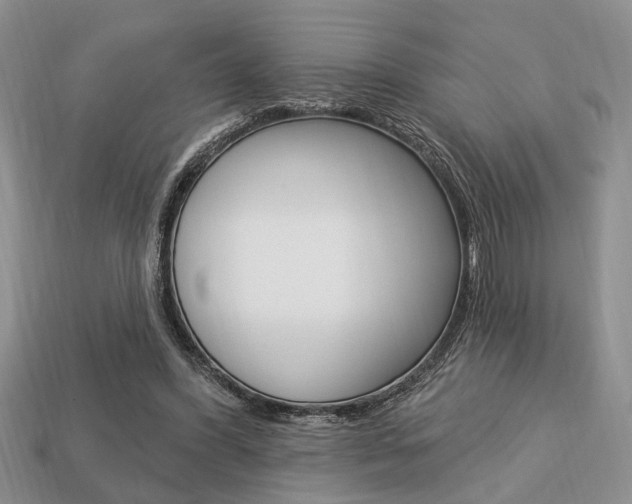 X0000113740396200909230950