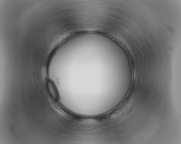 X0000113740397200909230950