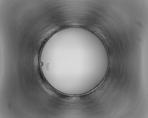 X0000113740398200909230950