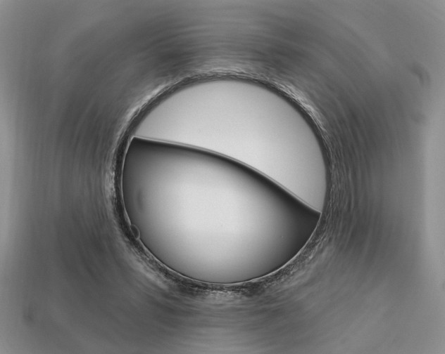 X0000113740399200909230950