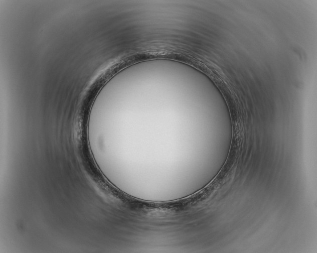 X0000113740400200909230950