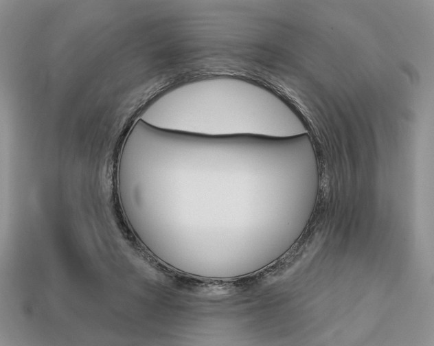 X0000113740402200909230950
