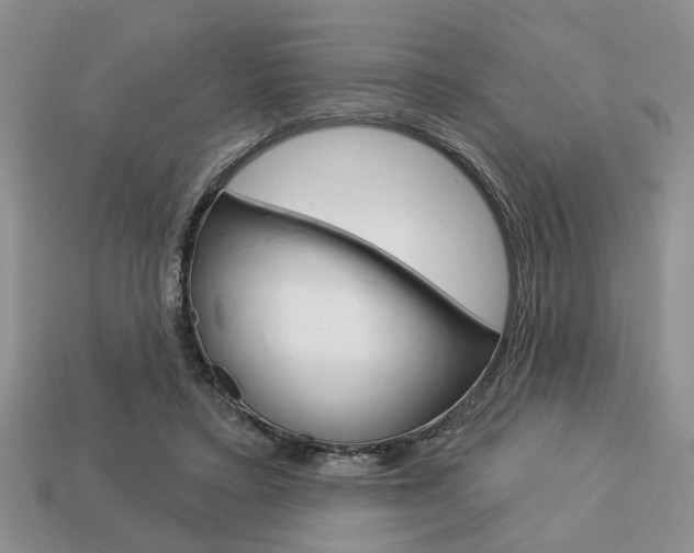 X0000113740403200909230950