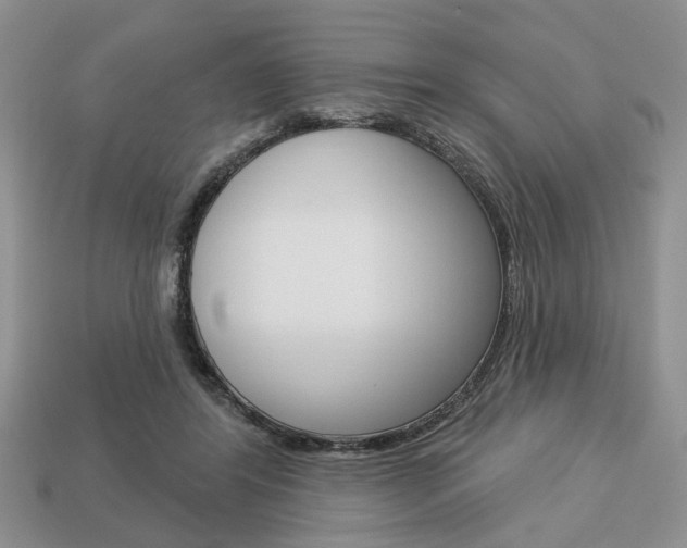 X0000113740404200909230950