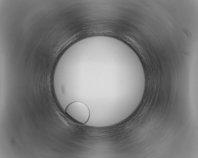 X0000113740405200909230950