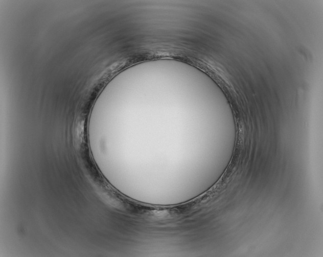 X0000113740406200909230950