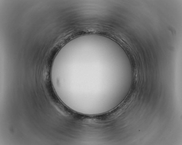 X0000113740408200909230950