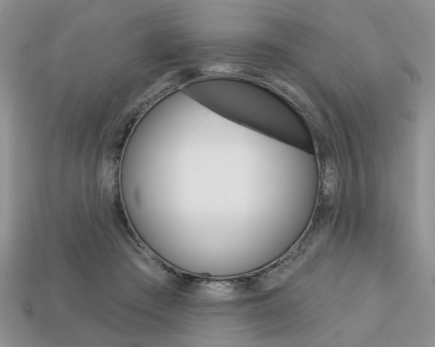 X0000113740409200909230950