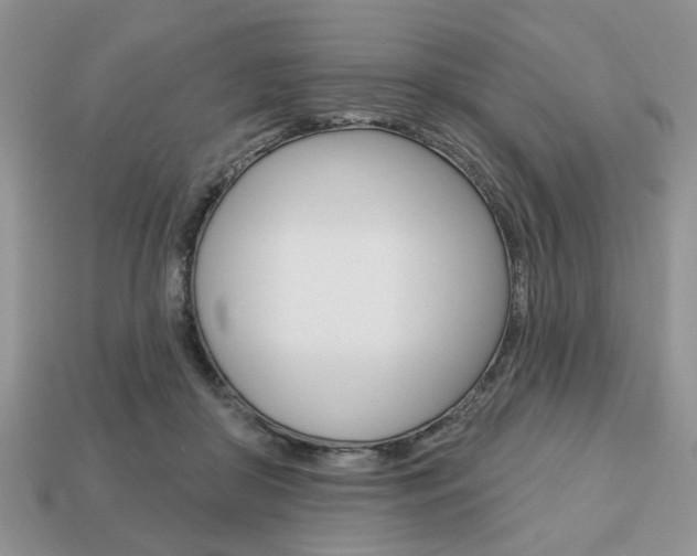 X0000113740410200909230950