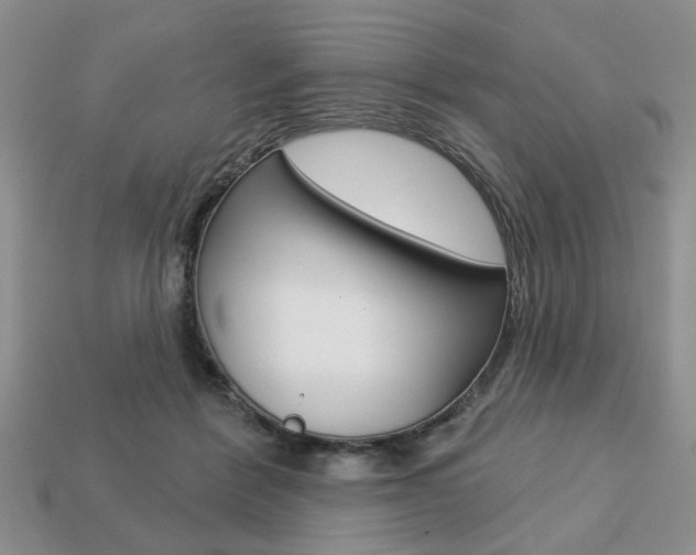 X0000113740412200909230950