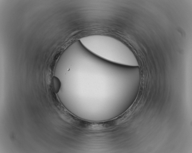 X0000113740413200909230950
