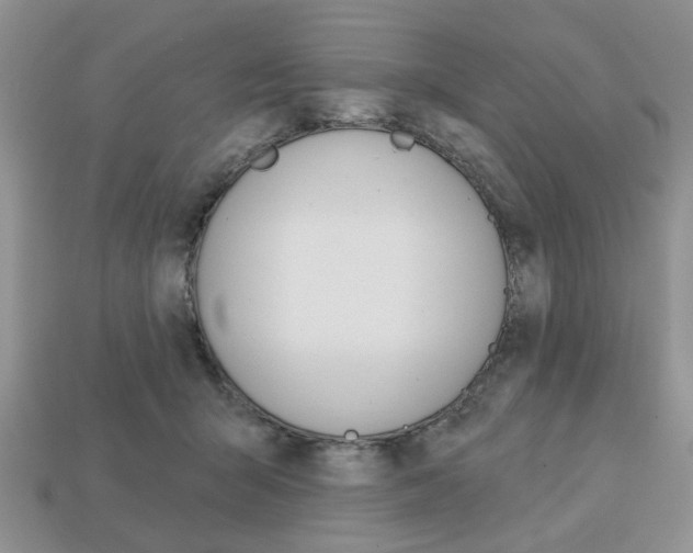 X0000113740415200909230950