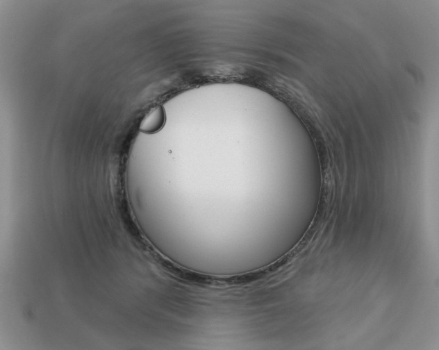 X0000113740416200909230950