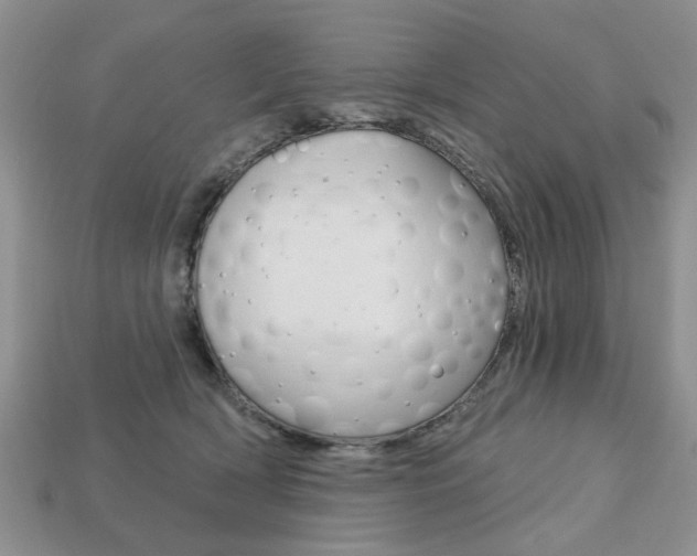 X0000113740418200909230950