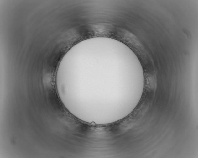X0000113740419200909230950
