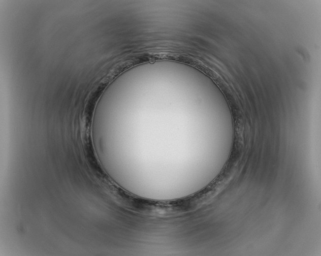 X0000113740420200909230950