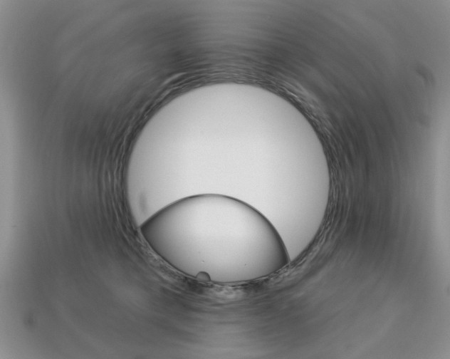 X0000113740421200909230949