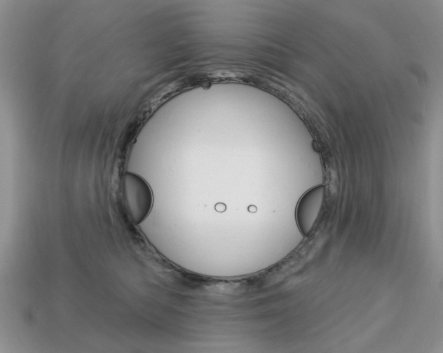X0000113740422200909230949