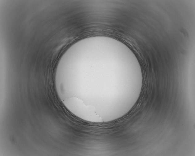 X0000113740423200909230949