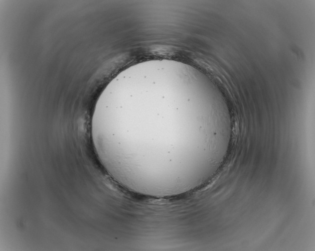 X0000113740424200909230949