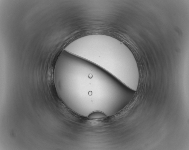 X0000113740425200909230949