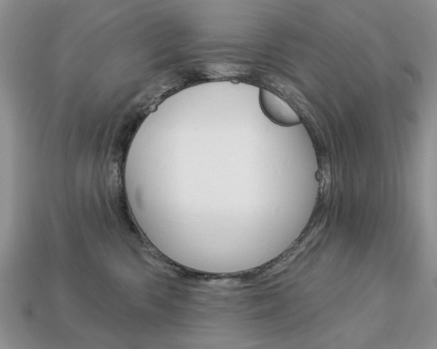 X0000113740426200909230949