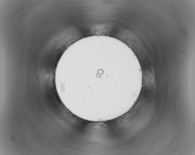 X0000113740427200909230949