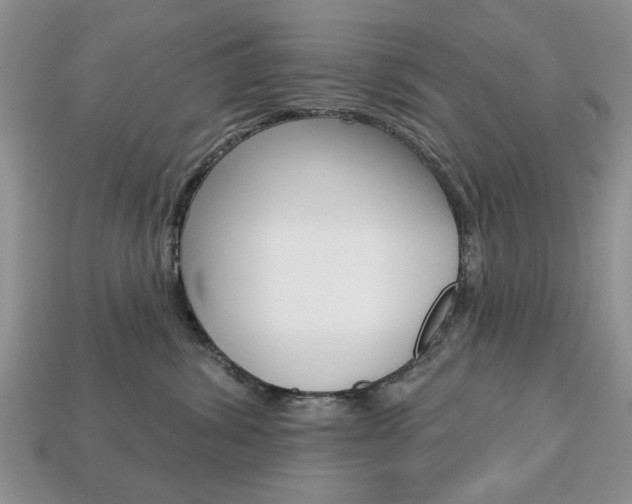 X0000113740428200909230949